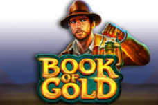 BOOK OF GOLD