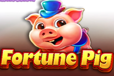 FORTUNE PIG