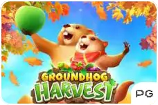 Groundhog Harvest